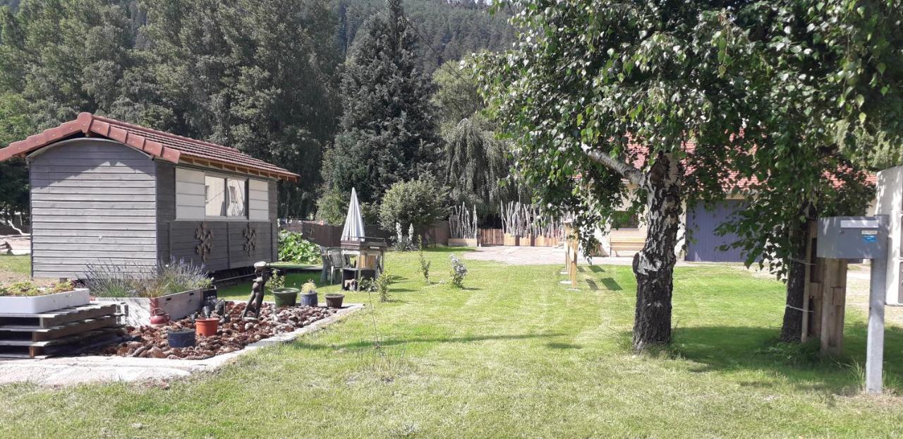 Gites, Les Jonquilles, Le Sagard Et Bungalow Les Brimbelles, Nature Et Detente La Houssiere Eksteriør billede